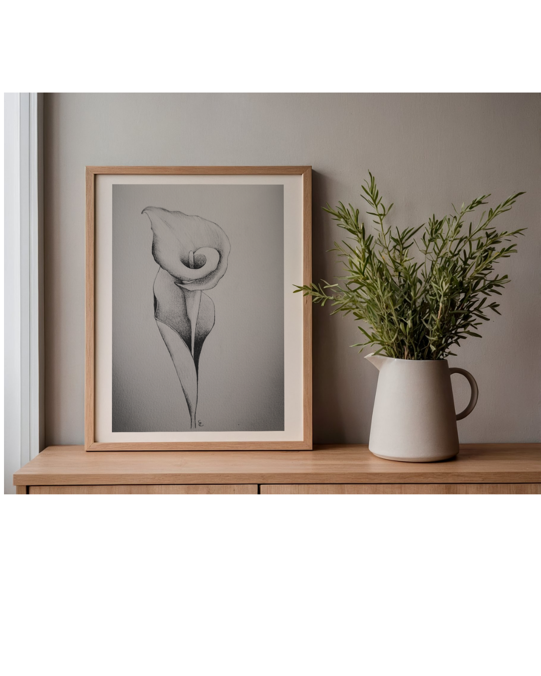 Ilustración Flor Cala — Lápiz Grafito | Calla Lily Illustration — Graphite Pencil